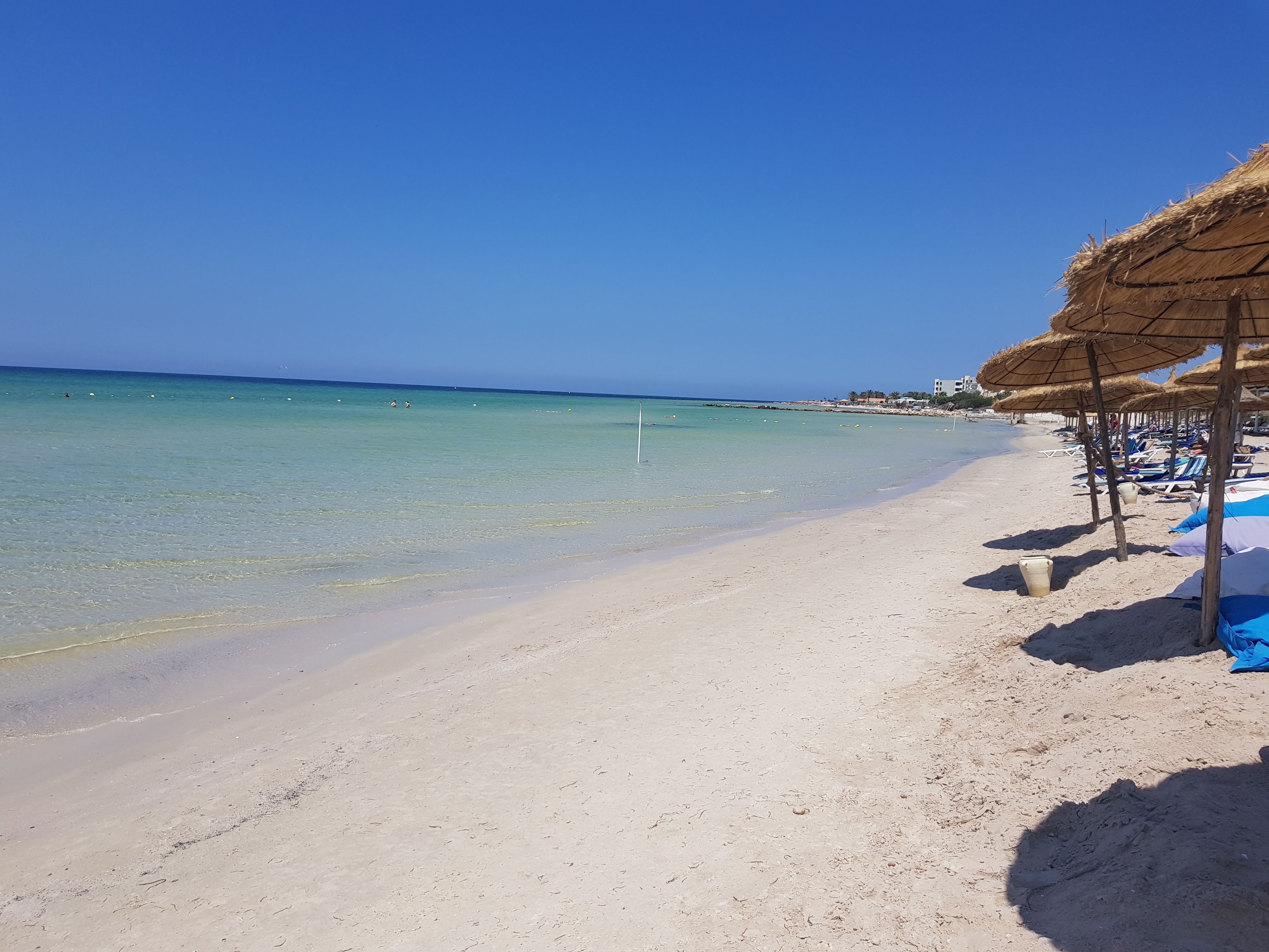 все об отдыхе в тунисе